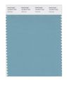 Pantone Smart 16-4610x Color Swatch Card Stillwater 