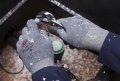 3m Electrical Markets Division Insulated Foam-coated Comfort Grip Glove Cgl-w Winter Tear-resistant Machine-washable Elastic