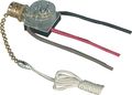 Cooper Wiring Devices Bp460-sp-l 6-amp 125-volt Commercial Grade Two-circuit Pull Chain With End Bell Canopy Switch Brass 
