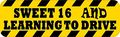 10in X 3in Sweet 16 And Learning To Drive Magnet Magnetic Vinyl Car Magnets By Stickertalk 