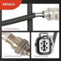 A-premium O2 Oxygen Sensor Compatible With Honda Acura Models Civic001-2005 Accord 2002 El 2001-2002 Rsx 2002-2004 1 7l 2 0l 2