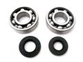 Main Crank Shaft Bearings And Seals Kit For Kawasaki Kx100 1995 To 20 Includes 2 2 With Sealing Lip Reduce Pin Wear 