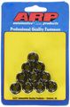 Arp 300-8392 3 8 -24 12-point Nut 10 Piece 
