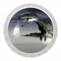 4 Packs Dinosaurs Tyrannosaurus Rex Transparent Cabinet Knobs Drawer Handles For Kitchen Cabinets Dresser Cupboard Wardrobe 