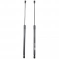 A-premium Rear Hatch Lift Supports Gas Spring Shock Struts Compatible With Ford Fiesta 2011-2019 Left And Right 2-pc Set