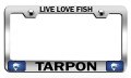 Live Love Fish Tarpon Fishing Chrome Metal License Plate Frame Tag Holder I70 