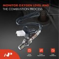 A-premium O2 Oxygen Sensor Compatible With Toyota Sienna 2004-2006 V6 3l 3mzfe 2007-2010 3 5l 2grfe Downstream Front And Rear