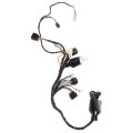 Full Main Wire Wiring Harness Assy Replacement For Surron Light Bee X Segway X160 X260 Electric Dirt Bike 