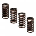Caltric 4x Valve Springs Compatible With Suzuki Kingquad 750 Lta750xp 4x4 Axi Eps 2011 2012 2013