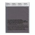 Pantone Smart Swatch 18-3908 Volcanic Glass 