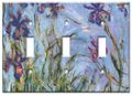 Art Plates Double Toggle Switch Decorative Metal Wall Plate Dandelion 