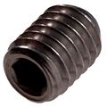 The Hillman Group 843 Zinc Sae Socket Set Screw 1 23 X 2 In 8-pack 