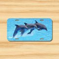 Dolphin License Plate Front Vehicle Auto Tag Ocean Sea Life Beach For Mod-gt911-693 