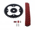 Fits Honda Trx250r 250r 520-92 Red O Ring Chain Sprocket Black 14 39