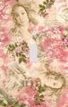Birth Of Venus And Roses Montage Decorative Switchplate Cover 