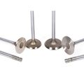 91-99 Inifiniti G20 Nissan 200sx Nx Sentra 2 0l Dohc Sr20de Intake Exhaust Valves W Valve Seals