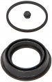 Raybestos Wk971 Professional Grade Disc Brake Caliper Repair Kit 