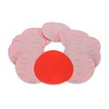 6 Inch 800 Grit High Performance Hook And Loop Wet Dry Film Sanding Discs 10 Pack 