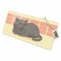 Graphics More Chubby British Short Hair Grey Cat Novelty Metal Vanity Tag License Plate