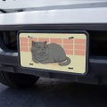 Graphics More Chubby British Short Hair Grey Cat Novelty Metal Vanity Tag License Plate