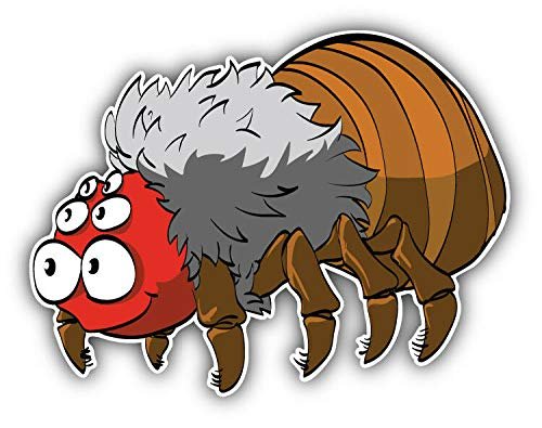 Funny Tarantula Spider Cartoon Keychain Black Premium Leather Chain With 1 In Round Silver Design And Key Ring