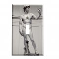 Michelangelo Selfie David Switchplate Switch Plate Cover 