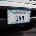 Ragdoll Cat License Plate Tag Frame