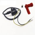6h5-85570-00-00 Ignition Coil For Yamaha 40 50 Hp Outboard 40hp 50hp 2 Stroke 3 Cylinder 1989-2007 A