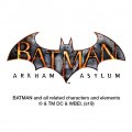 Batman Arkham Asylum Video Game Logo Oval Tow Trailer Hitch Cover Plug Insert