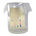 Innovating Science Paper Chromatography Kit To Separate Chemical Substances 