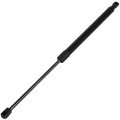 12 17 Lift Supports Gas Springs Struts Shocks 74820tl4g31 Strut Fit For Accord Viii Estate 2008
