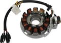 Spi Stator For Snowmobile Polaris 600 Ho Rmk 144 F O 2006 