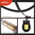 A-premium O2 Oxygen Sensor Compatible With Dodge Chrysler Volkswagen Models Grand Caravan 2005-2010 Town Country Pacifica