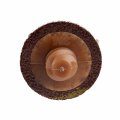 3m Tm Roloc Disc 777f Cloth Tr Attachment Ceramic Aluminum Oxide 1 Diameter 60 Grit Pack Of 50 