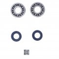 Mothinessto Bearings Oil Kit Painted Easy To Install Good Compatibility Chainsaw Crankshaft Durable Alloy Steel 1123 030 0408