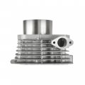 Caltric Cylinder Jug Compatible With Kawasaki Lakota 300 Kef300 1995 1996 1997 1998 1999 2000 2001 2002 2003