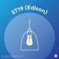 Ge Classic Led Light Bulbs 60 Watt Eqv Soft White St19 Edison Style 24 Pack