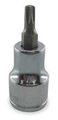 Socket Bit 1 4 In Dr T20 Torx Part Number 1ezk1 