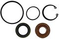 Gates 348863 Power Steering Repair Kit 