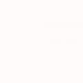 Rust-oleum 248922 Automotive Enamel Fabric Vinyl Spray Paint 11 Ounce Gloss White Fl Oz 