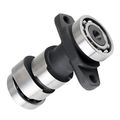 Caltric Camshaft Kit Fits Honda Trx300ex Trx 300ex Sportrax 300 1993-2008 Trx300x 2009