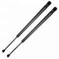 Liftgate Gas Spring Strut For Nissan Murano 2005 2006 2007 Sg325016 Sg325024 20 62 In Extended Length 13 12 Compressed Rear 