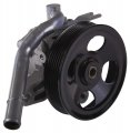 Spk-021 Oe Power Steering Pump 