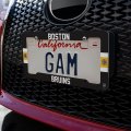 Boston Bruins Logo Stripe License Plate Tag Frame