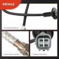 A-premium O2 Oxygen Sensor Compatible With Toyota Camry Solara 2000-2001 L4 2 2l Upstream And Downstream 2-pc Set Replace