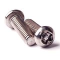 M5 Tamper-resistant Security Screws Assortment Kit Stainless Steelpack Of 52-pieces