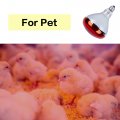 Incandescent Heat Lamp 250 Watts Infrared Bulb For Therapy Bathroom Recessed Lighting Pet Brooder And Agricultural Use R125 E26