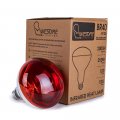 Incandescent Heat Lamp 250 Watts Infrared Bulb For Therapy Bathroom Recessed Lighting Pet Brooder And Agricultural Use R125 E26
