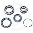 Epi Rear Hub Bearing We305502 