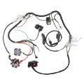 Complete Electrics Ac Wire Harness Kit For 150cc 200cc 250cc 300cc Atv Quad Includes Cg 8 Stator 6 Pin Cdi Ignition Coil And 